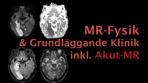 mr-fysik kurs, kurs mr fysik. kurs mr-fysik, kurs mr radiologi, kurs i mr radiologi, st kurs radiologi, kurs mr, kurs mr-fysik klinik