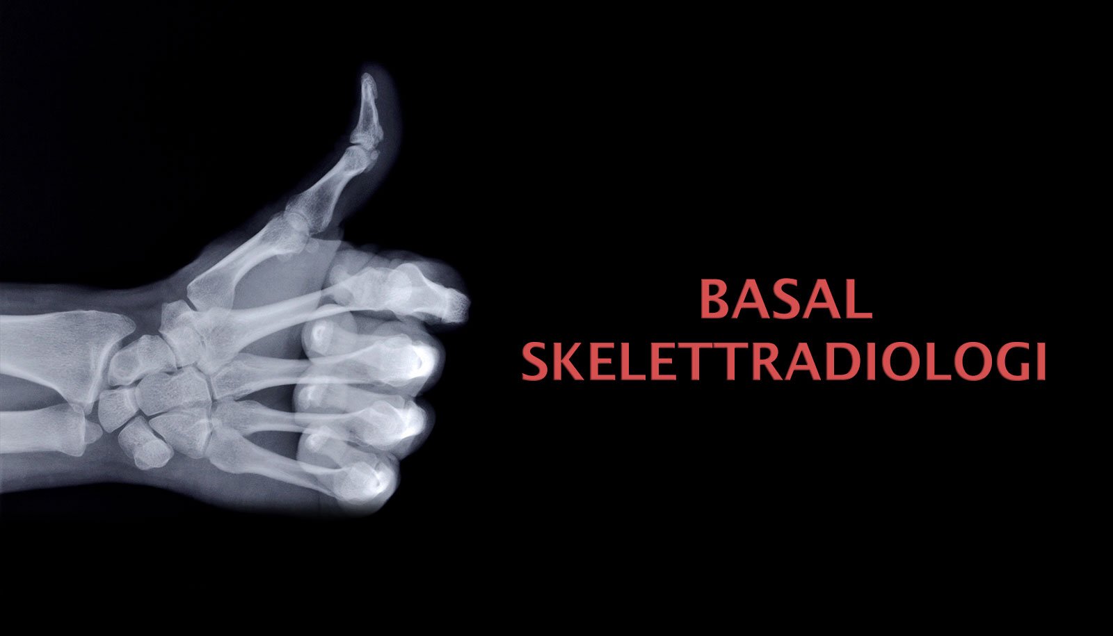 Basal Skelettradiologi course image