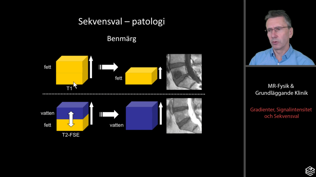 mr fysik, kurs mr, mr-fysik kurs, basal mr kurs, kurs inom mr, mr radiologi, magnetkamera kurs, mr-fysik kurs